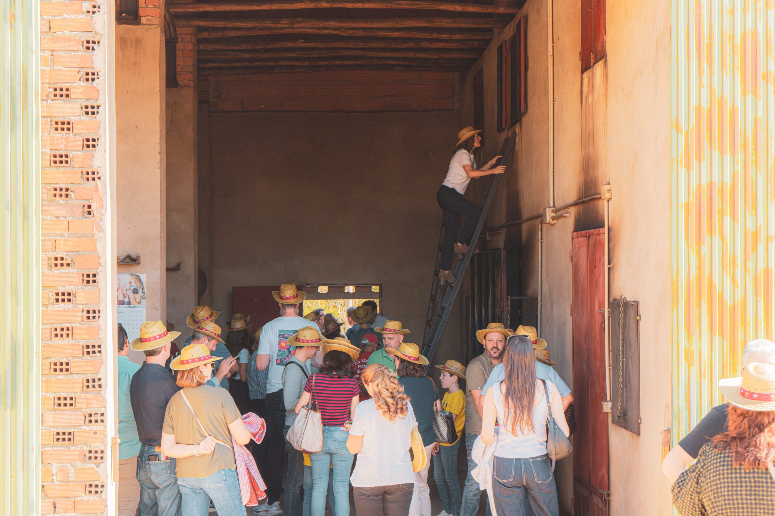 Visitas al campo 2.