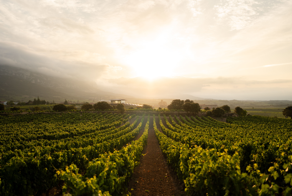 Captura de pantalla 2026-03-13 131417