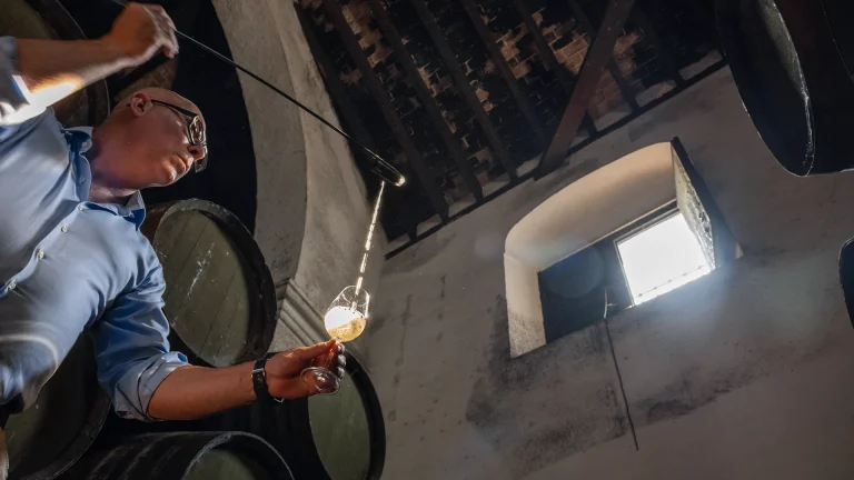 FMRE_BARBADILLO_423_Cam1_R-768x432